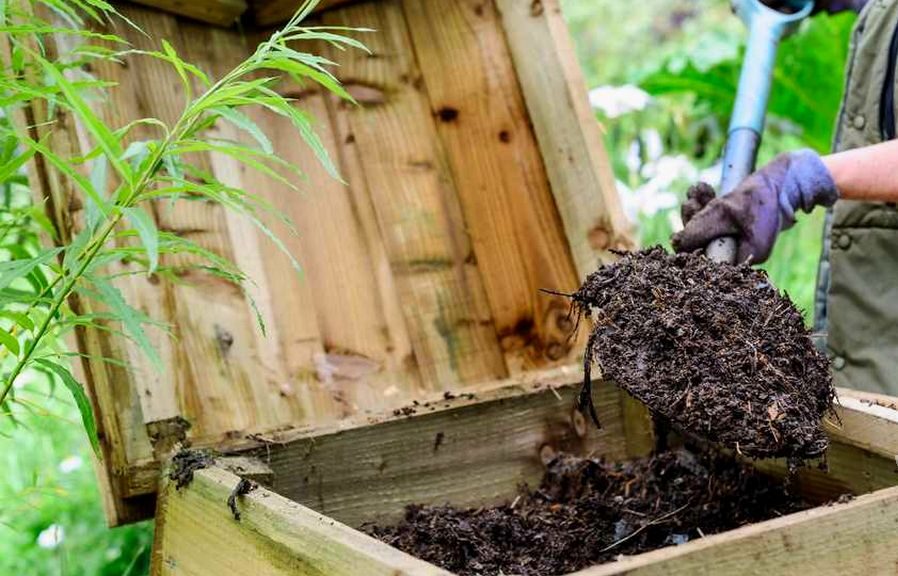 Wat is compost en waarom helpt het je tuin echt vooruit