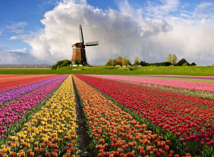 Betekenis van kleuren in Nederland
